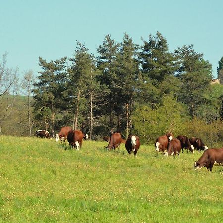 Gites A La Ferme De Bacon Saint-Sylvestre  外观 照片